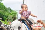 1ª Cavalgada de Cavalo de Pau estimula tradição e diversão em Penedo