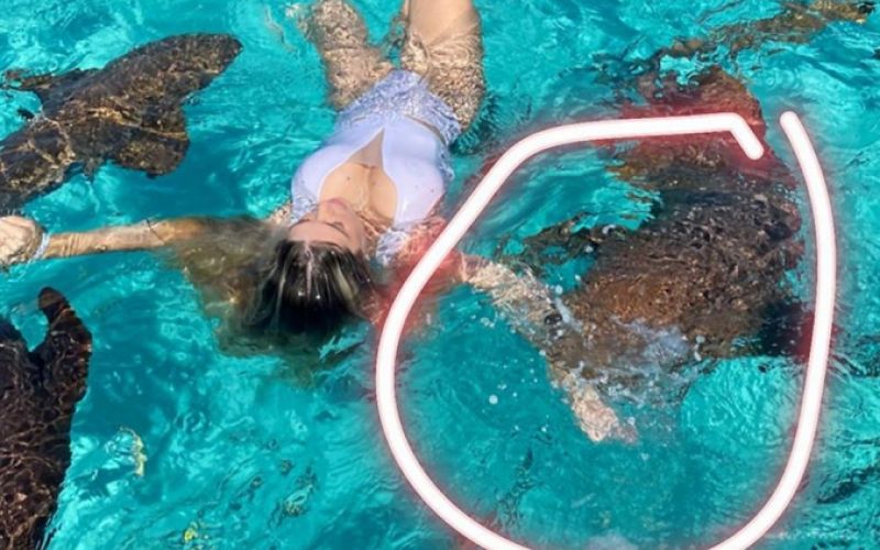 Influencer Ana Bruna Avila é mordida por tubarão nas Bahamas: 'Arrancou um pedaço do meu braço'