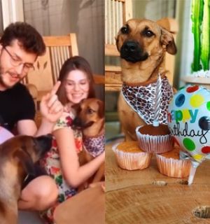 Camila e Klebber fazem festa de aniversário para a cachorra, Angel