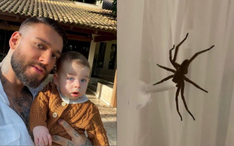 Que susto! Esposa de Lucas Lucco encontra aranha gigante no berço do filho