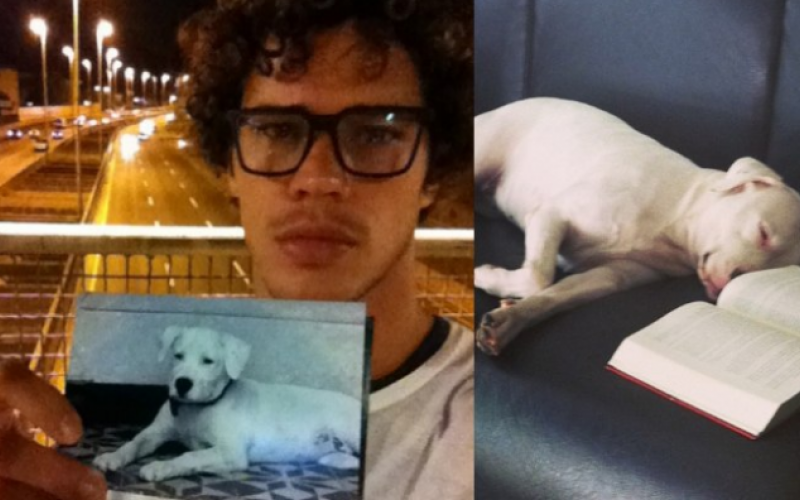 José Loreto encontra cadela perdida após mobilizar campanha
